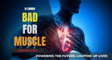 Cardio and Muscle Gain: Friends or Foes?