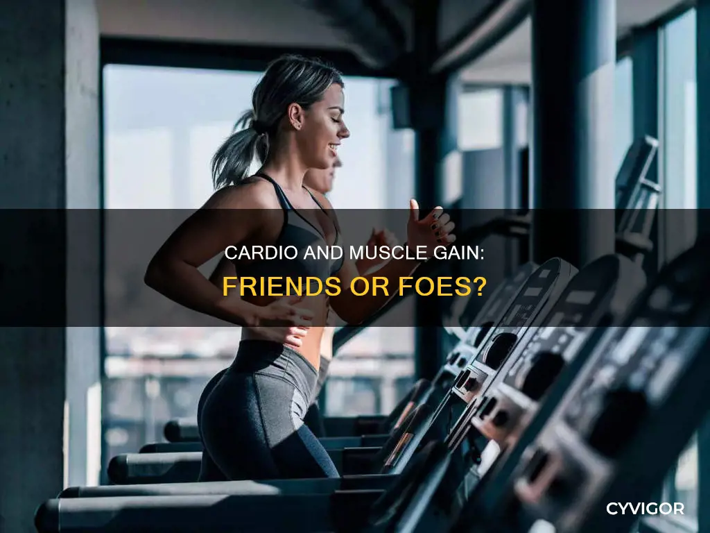 is cardio bad for muscle