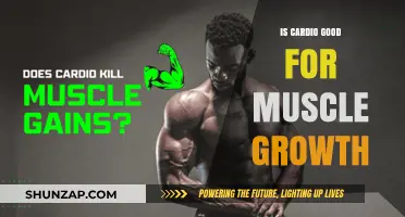 Cardio and Muscle Growth: Debunking Myths for Optimal Fitness