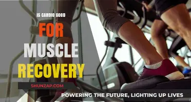 Cardio's Role in Muscle Recovery: Benefits, Timing, and Best Practices