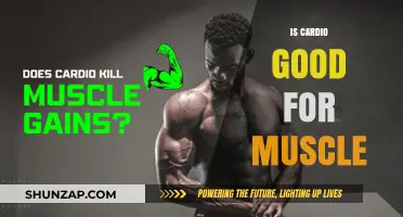 Cardio and Muscle Growth: Debunking Myths for Optimal Fitness