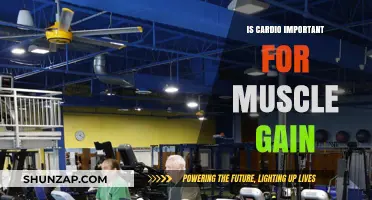 Cardio for Muscle Gain: Essential or Optional for Growth?