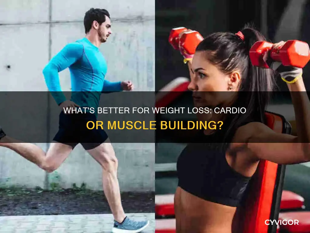 is cardio or muscle