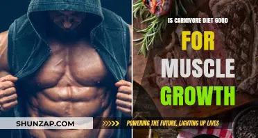 Carnivore Diet for Muscle Growth: Benefits, Risks, and Effectiveness
