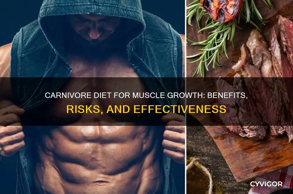 is carnivore diet good for muscle growth