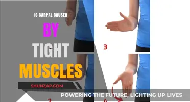 Tight Muscles and Carpal Tunnel: What's the Link?