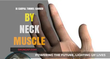 Neck Muscle and Carpal Tunnel: Is There a Link?