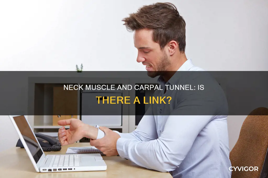 is carpal tunnel caused by neck muscle