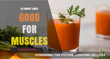 Carrot Juice Benefits: Boosting Muscle Health and Recovery Naturally