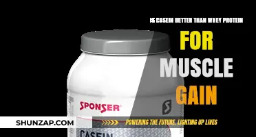 Casein vs. Whey: Which Protein Boosts Muscle Gain Best?