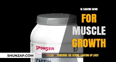 Is Casein Protein Effective for Muscle Growth? A Comprehensive Analysis