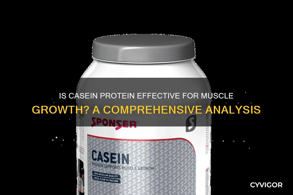 is casein good for muscle growth