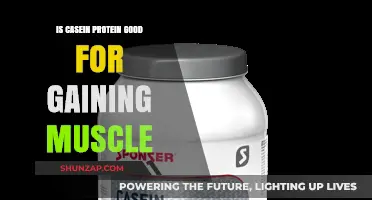 Is Casein Protein Effective for Muscle Gain? A Comprehensive Guide
