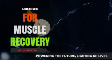 Is Casein Effective for Muscle Recovery? Benefits and Science Explained