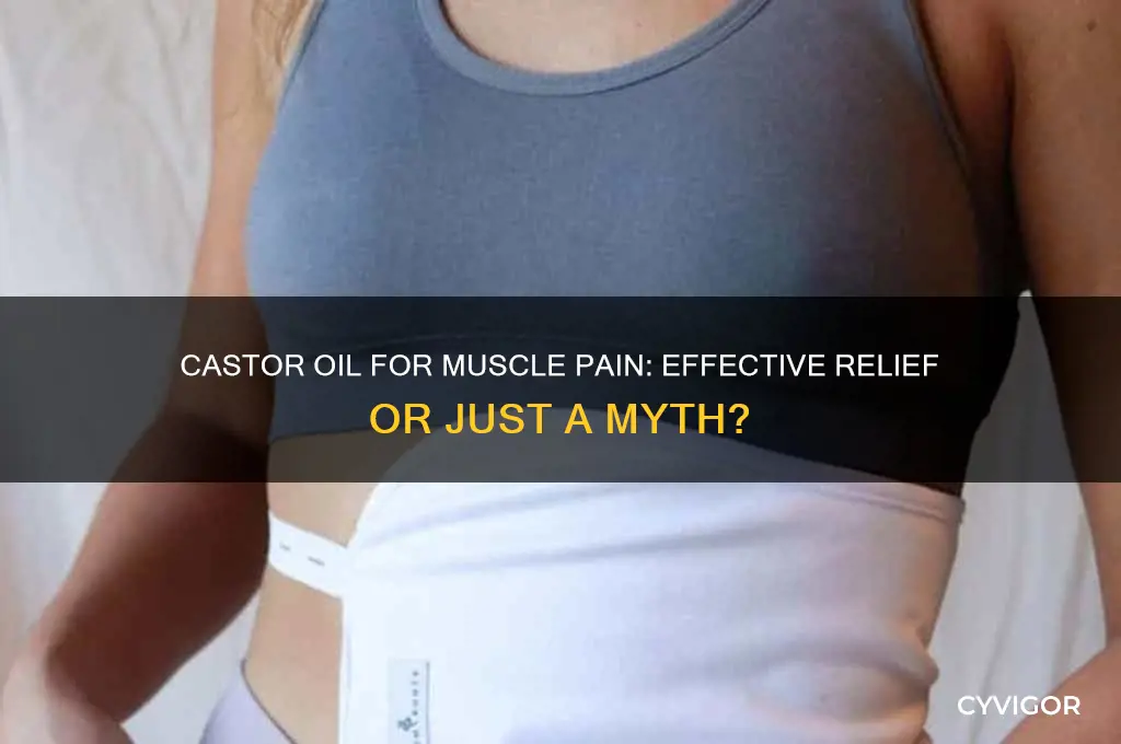 is castor oil good for muscle pain