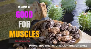 Castor Oil Benefits: Can It Soothe and Strengthen Your Muscles?
