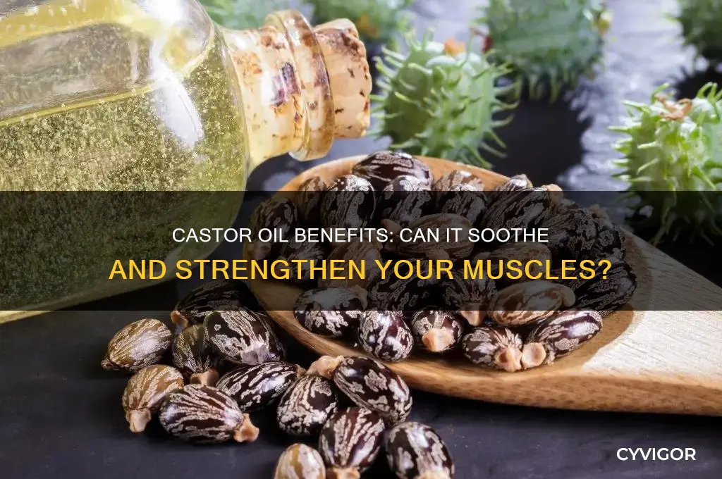 is castor oil good for muscles