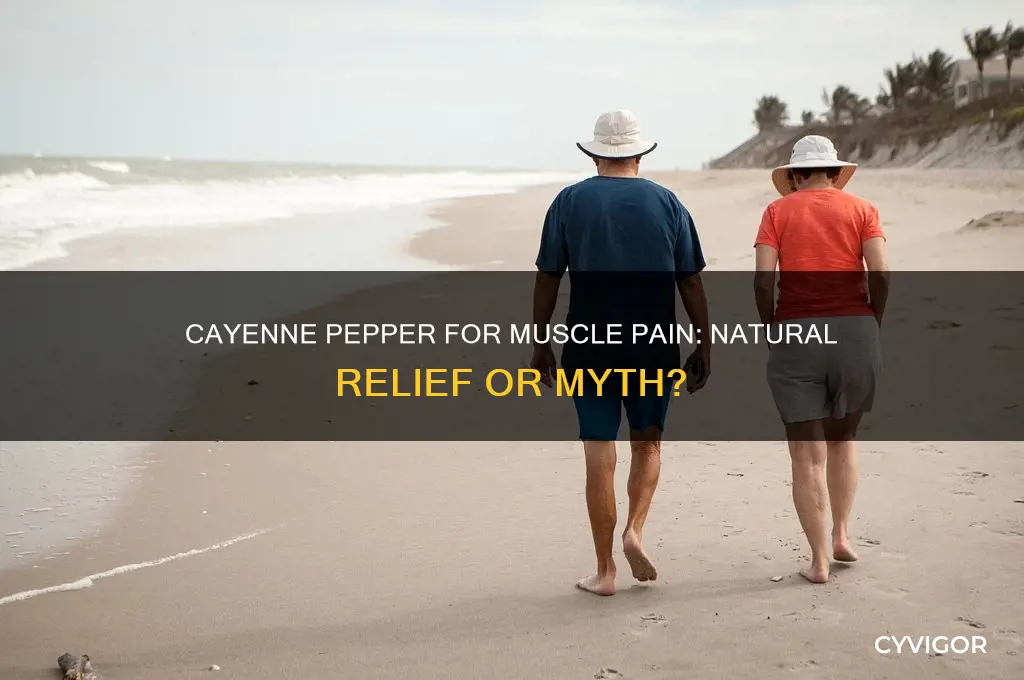 is cayenne pepper good for muscle pain