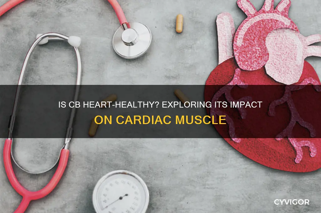 is cb good for the heart muscle