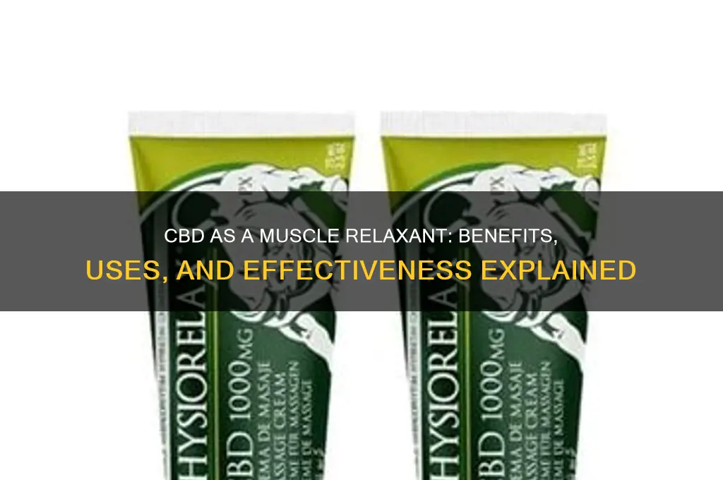 is cbd a good muscle relaxant