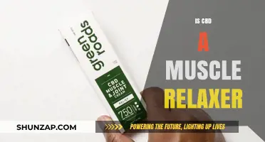 Can CBD Act as a Natural Muscle Relaxer? Exploring the Facts