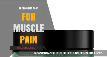 CBD Balm for Muscle Pain: Effective Relief or Just Hype?
