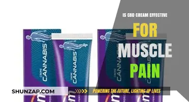 CBD Cream for Muscle Pain: Does It Really Work?