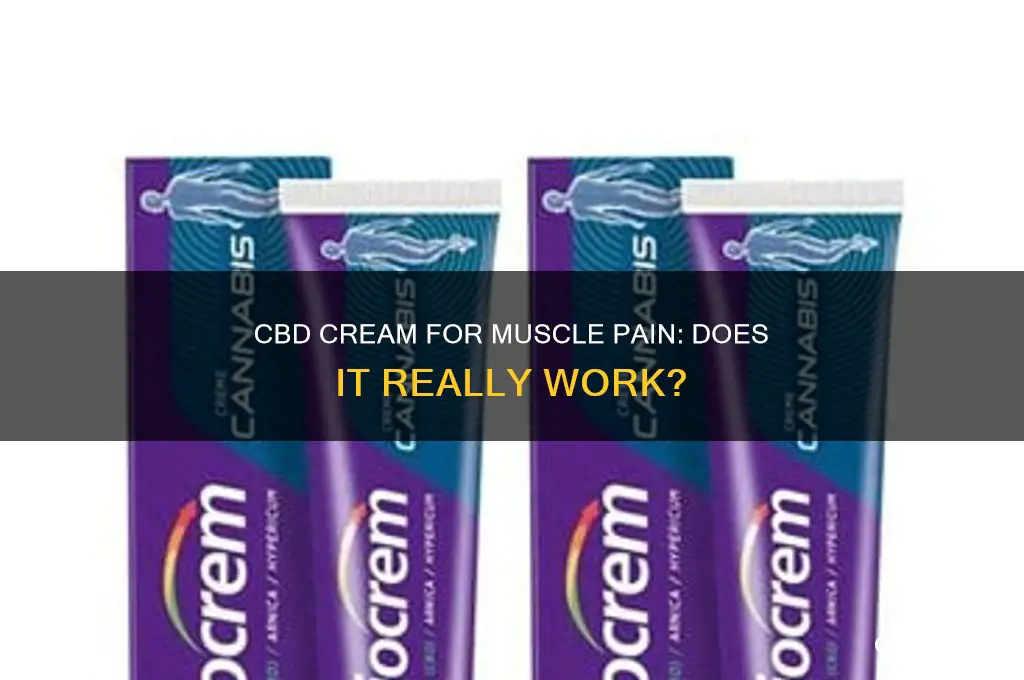 is cbd cream effective for muscle pain