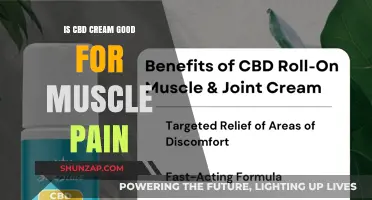 CBD Cream for Muscle Pain: Effective Relief or Just Hype?