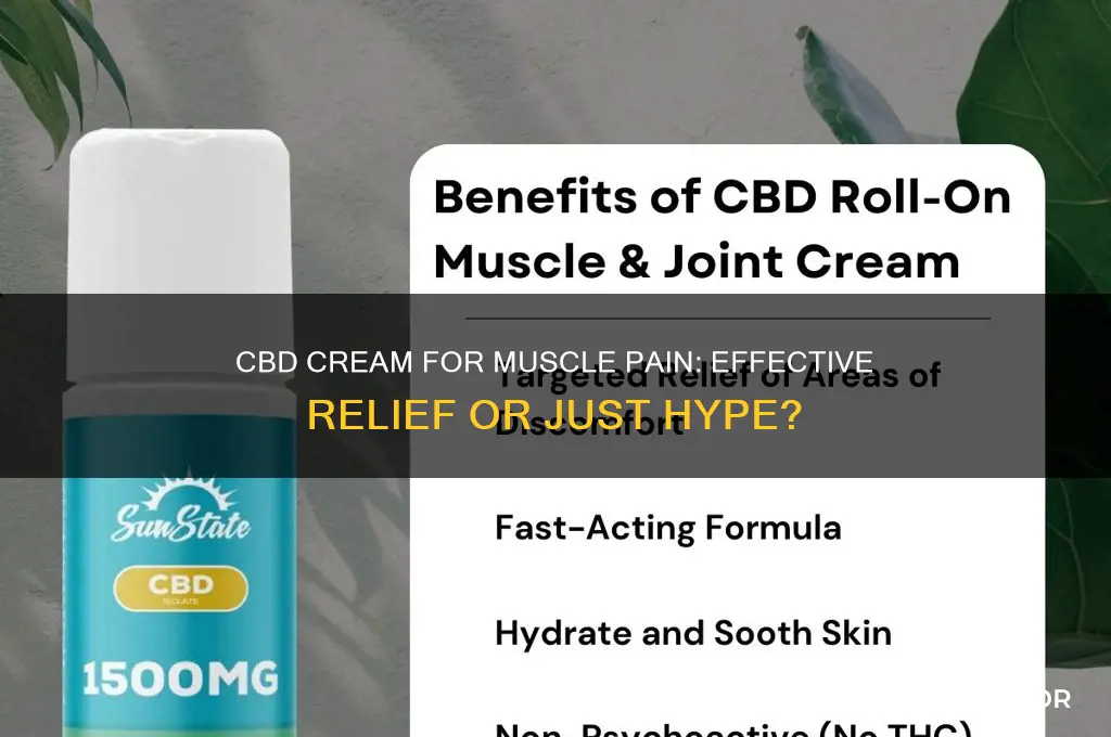 is cbd cream good for muscle pain