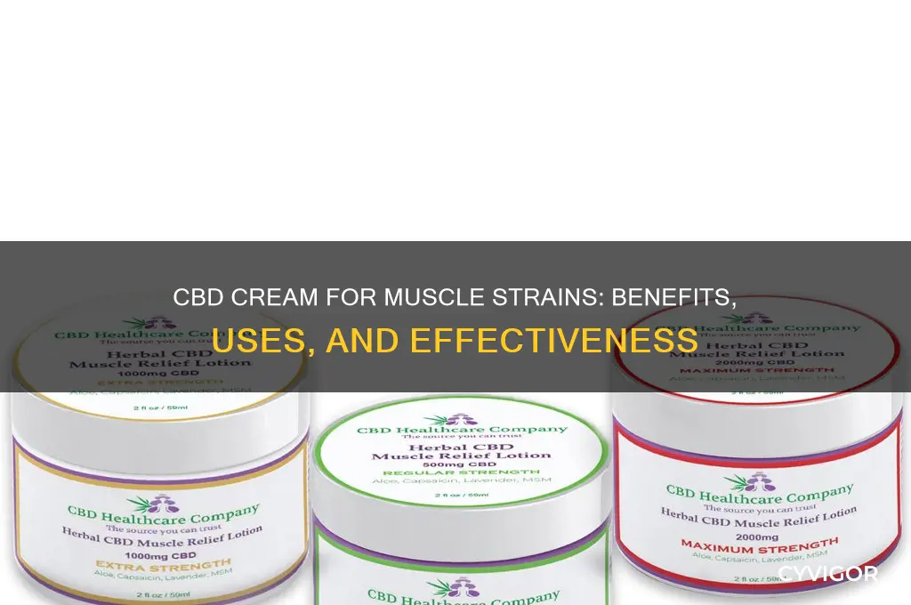 is cbd cream good for muscle strains