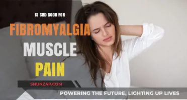 CBD for Fibromyalgia Muscle Pain: Relief or Myth?
