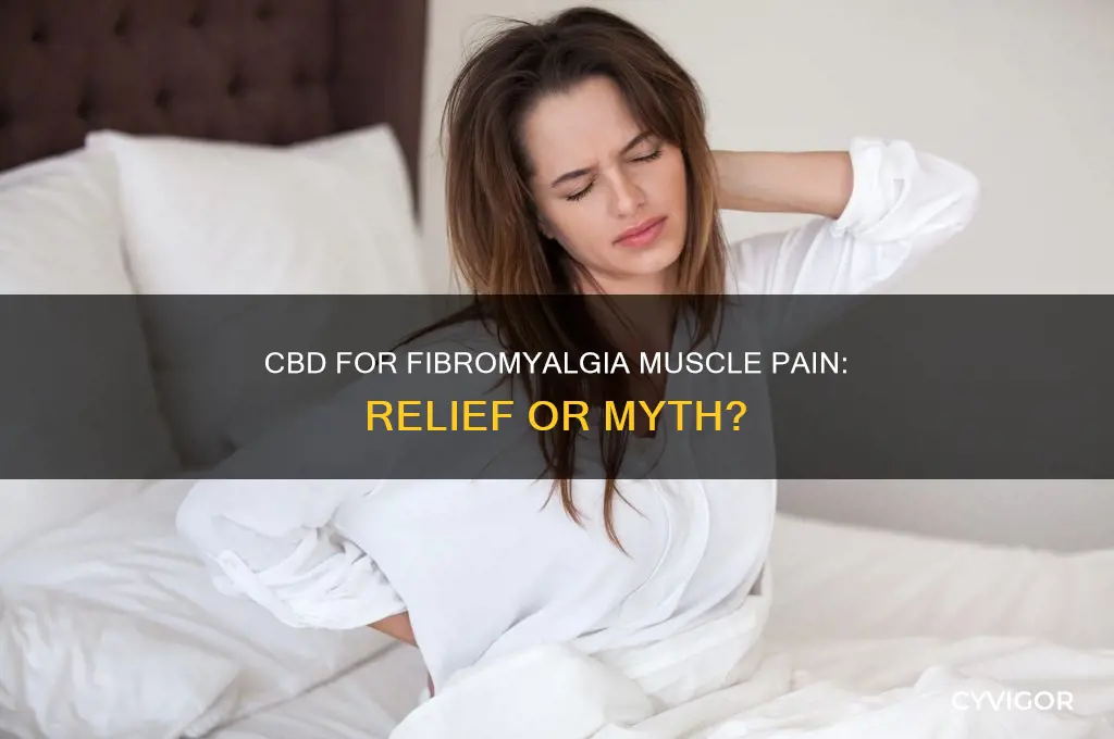 is cbd good for fibromyalgia muscle pain