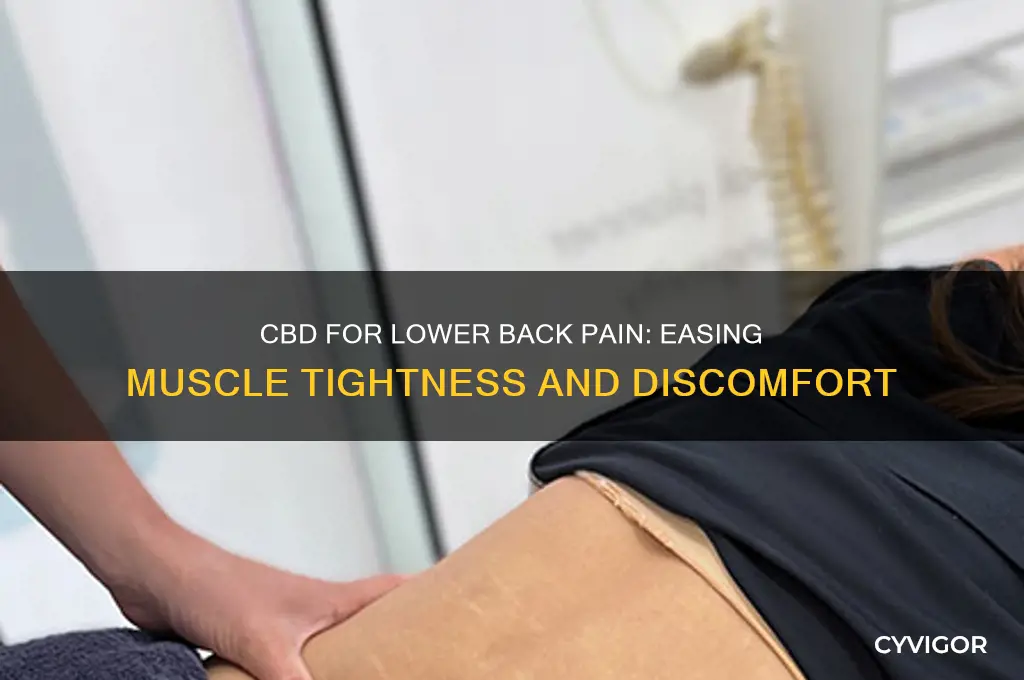 is cbd good for lower back muscle pain and tightness