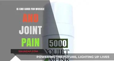 CBD for Muscle and Joint Pain: Relief or Hype?