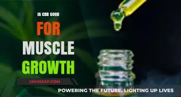 CBD and Muscle Growth: Benefits, Science, and Effective Use Explained