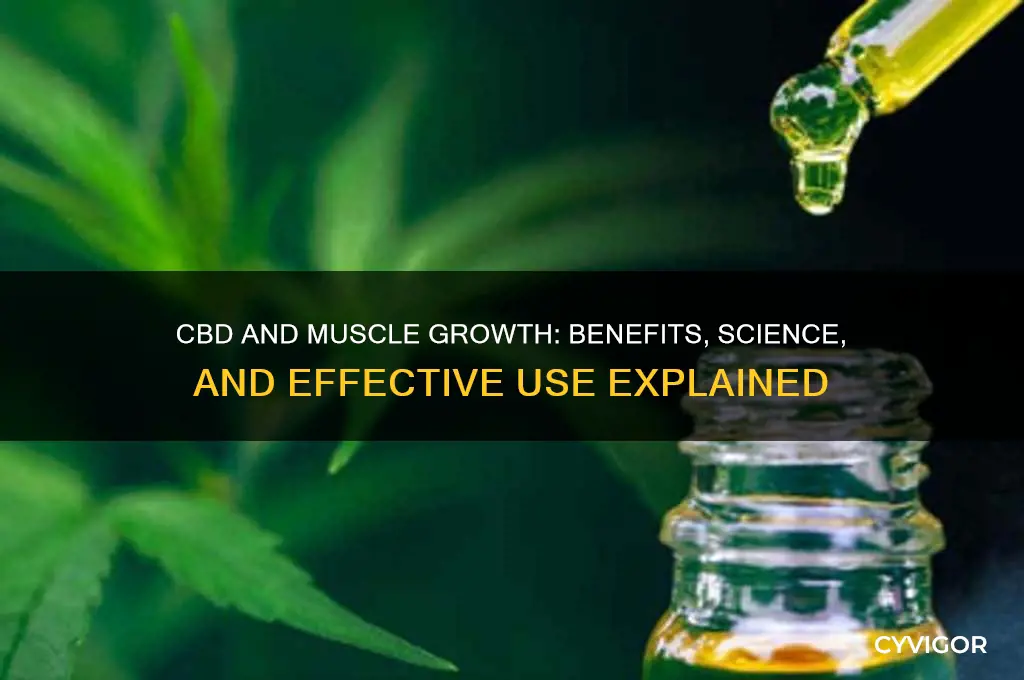 is cbd good for muscle growth