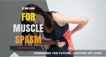 CBD for Muscle Spasms: Benefits, Uses, and Effectiveness Explained
