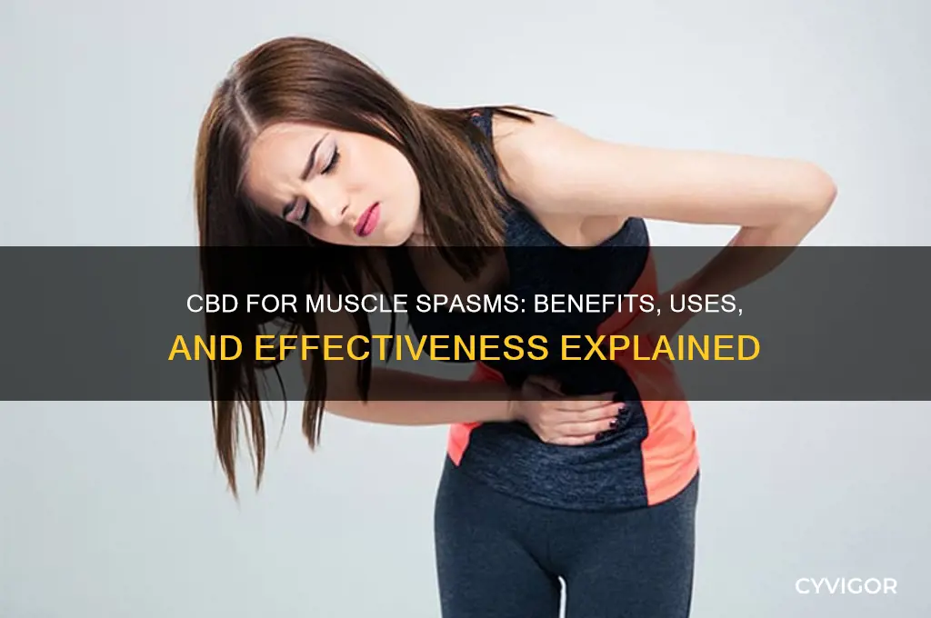 is cbd good for muscle spasm