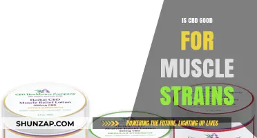 CBD for Muscle Strains: Effective Relief or Just Hype?