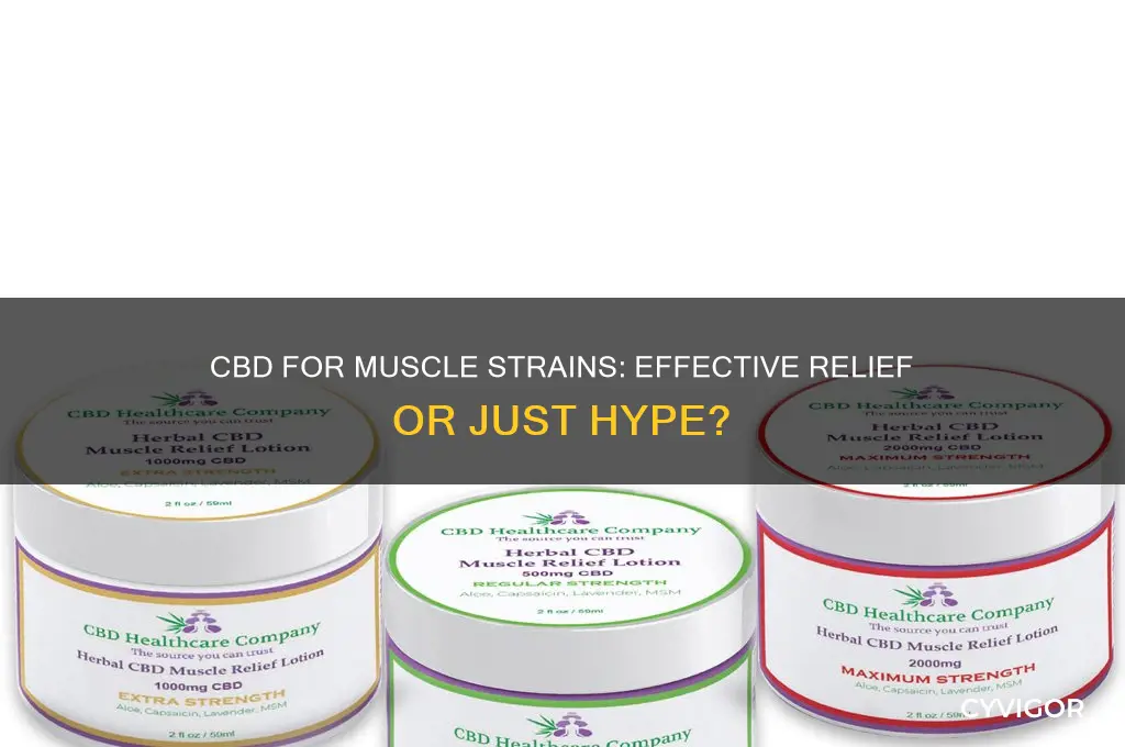 is cbd good for muscle strains