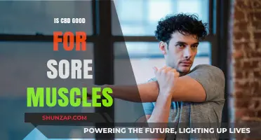 CBD for Sore Muscles: Effective Relief or Just Hype?