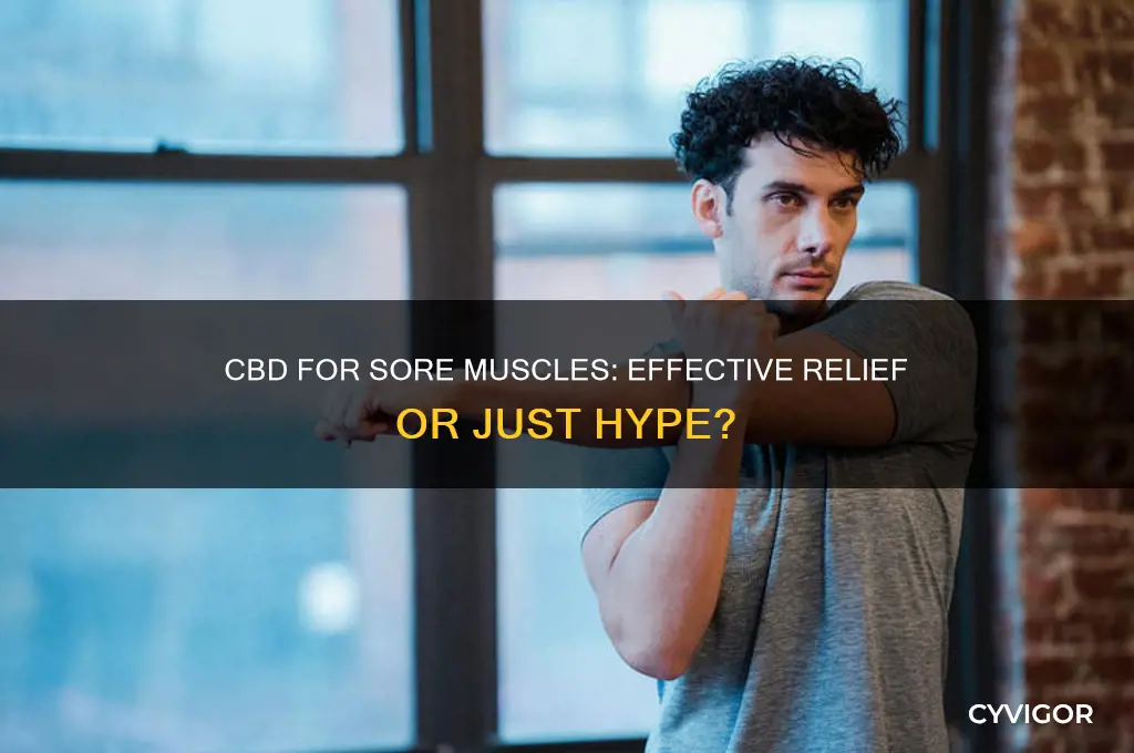 is cbd good for sore muscles