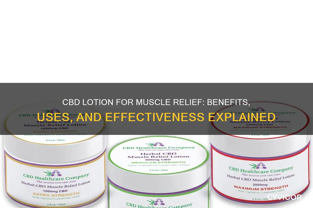 is cbd lotion good for muscles