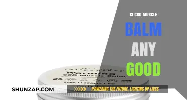 CBD Muscle Balm: Effective Relief or Just a Hype?