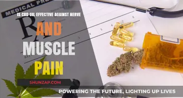 CBD Oil for Nerve and Muscle Pain: Does It Really Work?