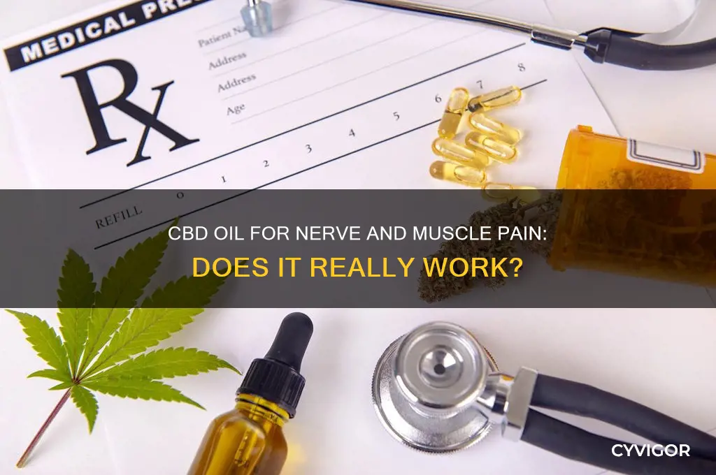 is cbd oil effective against nerve and muscle pain