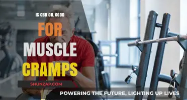 CBD Oil for Muscle Cramps: Effective Relief or Just Hype?