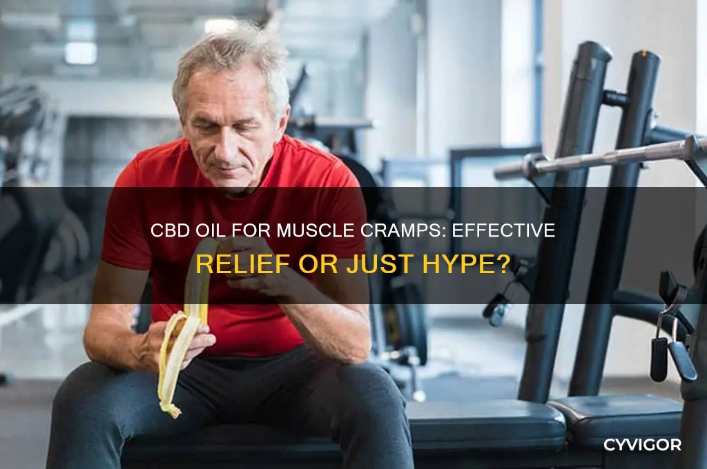 is cbd oil good for muscle cramps
