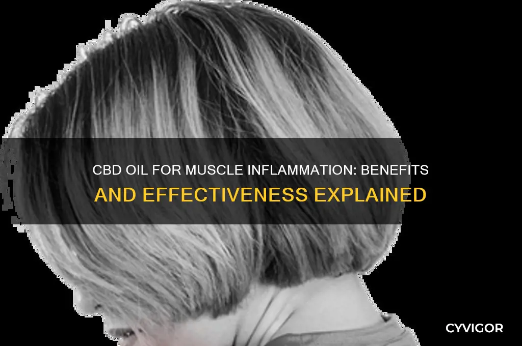 is cbd oil good for muscle inflammation